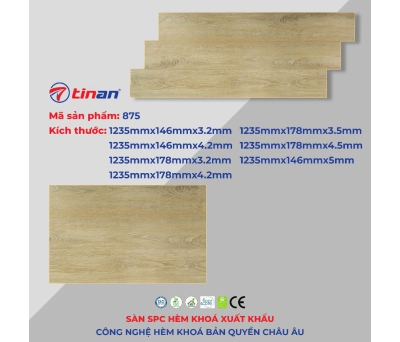 Sàn SPC hèm khóa 875